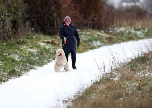 A woman walks her dog in the snow in Lisburn