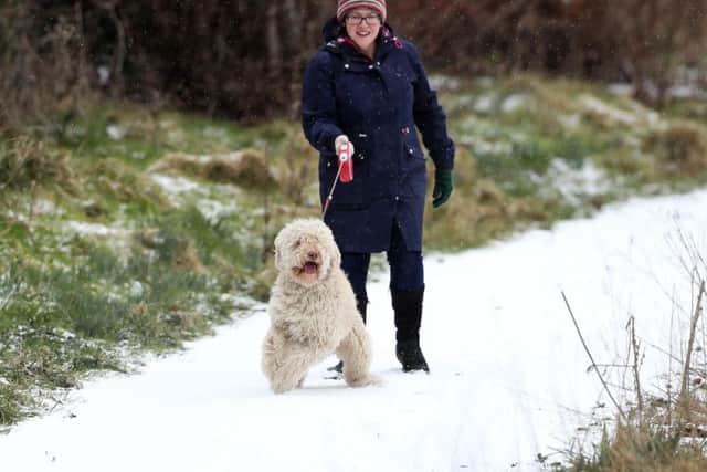 Heavy snow showers are forecast for Northern Ireland over the coming days with a yellow warning in place from the Met Office