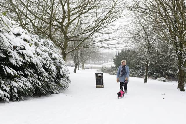 Miriam Bruce and her dog Poppy pictured out for a walk in the snow in Shaw's Bridge in Belfast