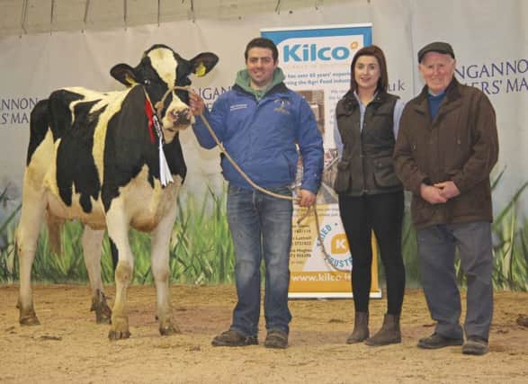 Andrew Patton, Newtownards, exhibited the champion Ards Bullseye D Ruth sold for 2,550gns at the Dungannon Dairy Sale. Adding their congratulations are sponsor Emma Hughes, Kilco; and judge Robert Wallace, Templepatrick.