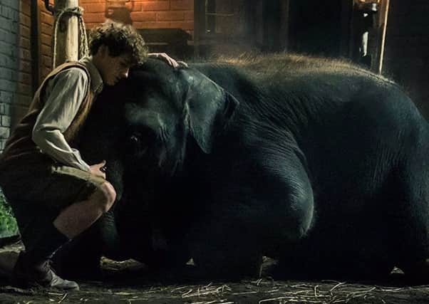 Art Parkinson plays a schoolboy who makes it his mission to protect Buster the elephant from Belfast Zoo during German air raids on the city