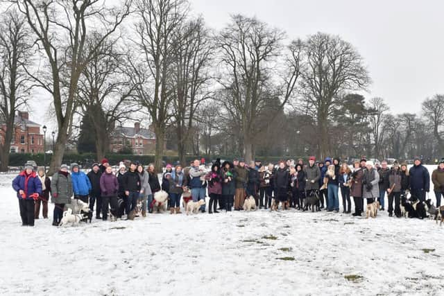 Around 60 dog owners and their pets turned out for the protest walk in Wallace Park on Sunday, despite the wintry weather. Photo by Simon Graham Photography