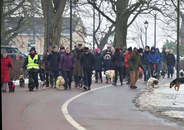 Disgruntled dog walkers in Wallace Park, Lisburn on Sunday, March 4 demonstrating their opposition to Lisburn and Castlereagh City Council's proposed Dog Control Orders 2018. Photo by Simon Graham Photography