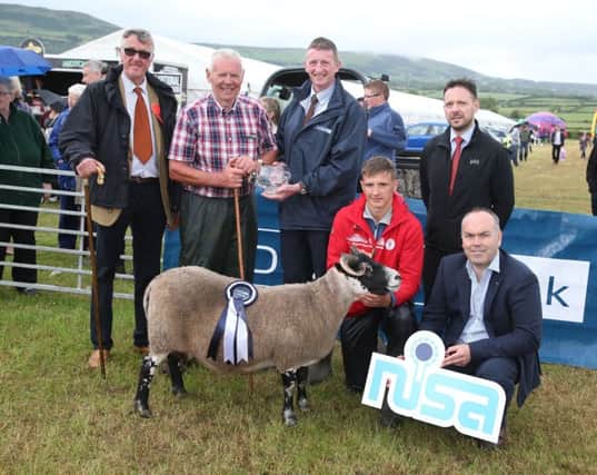 Robert McCullough Danske and Hugo Doherty Danske present the NISA winner to Sam Wallace with Handler Mark Thompson Clarence Calderwood NISA and Judge David Shedden at Limavady show on Saturday. PICTURE KEVIN MCAULEY/MCULEY MULTIMEDIA