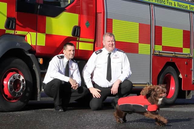 Northern Ireland Fire & Rescue Service (NIFRS) of Group Commander Geoff Sommerville (left) and Reggies Owner and Handler, Station Commander, Tim Richmond, watch as Reggie, a 4 year old Cocker Spaniel, who has undertaken specialist training to sniff out ignitable substances and accelerants in exchange for a tennis ball reward.
