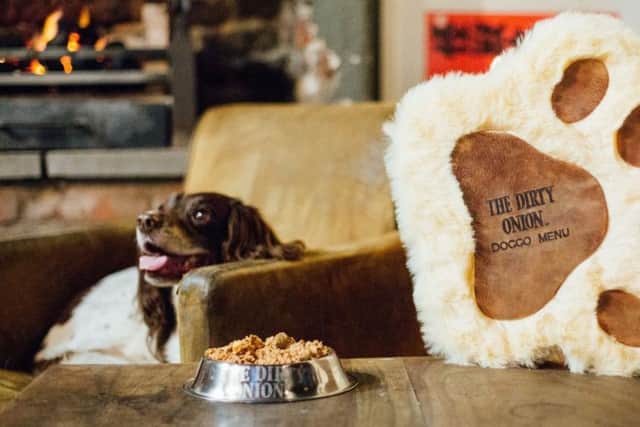 Molly helps launch a brand-new menu at The Dirty Onion for its furry, four legged customers created in partnership with local pet food brand, Naturo