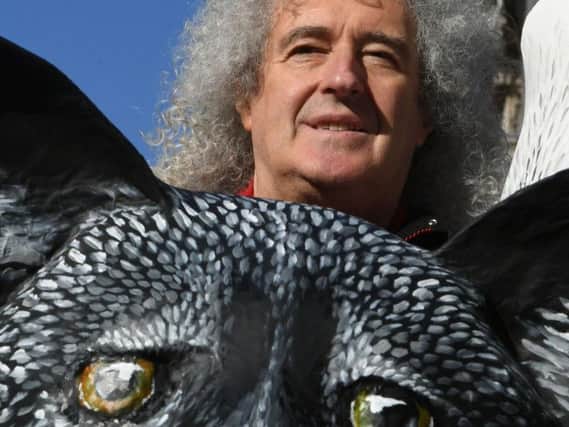 Queen guitarist Brian May at 10 Downing Street in London, to hand in a petition with more than 400,000 signatures urging Prime Minister Theresa May to introduce a UK animal fur import ban