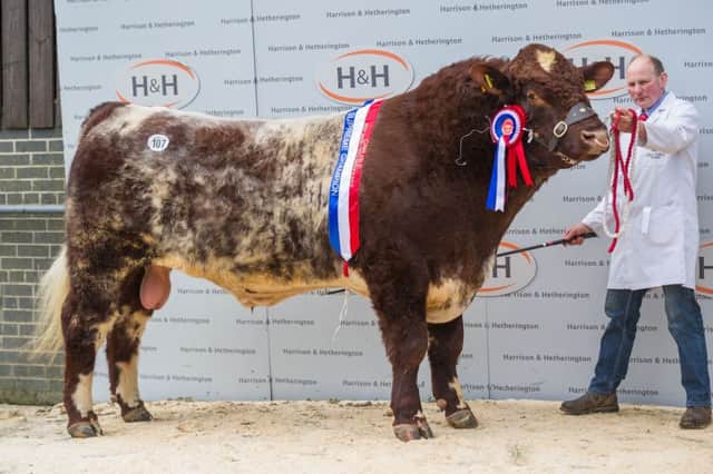 Uppermill Rama, male and overall supreme at 4,000gns