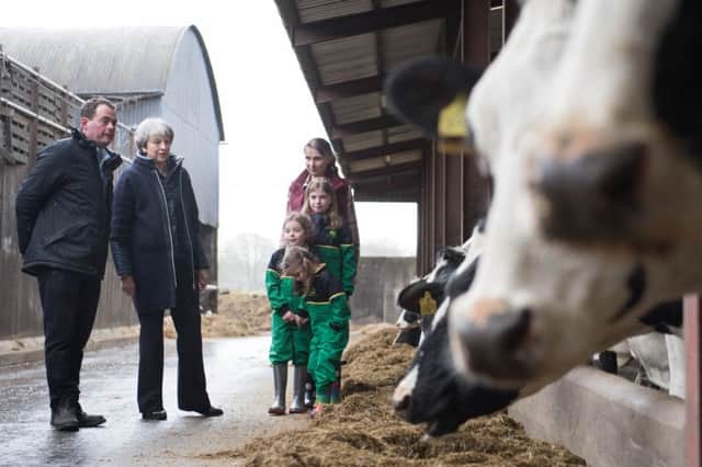 Prime Minister Theresa May is shown around Fairview Farm by owners Stephen and Susanne Jackson and their three daughters Hannah, Abbie and Emily (left to right not given)  in Bangor, Northern Ireland during a tour of the four nations of the UK, with a promise to keep the country united one year before Brexit. PRESS ASSOCIATION Photo. Picture date: Thursday March 29, 2018. See PA story POLITICS Brexit. Photo credit should read: Stefan Rousseau/PA Wire