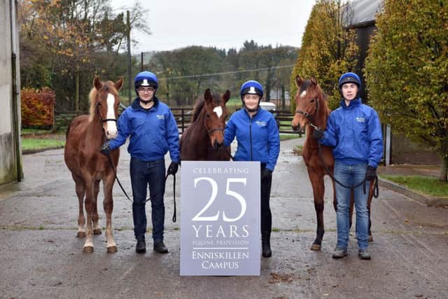 BSc Equine Management students are celebrating 25 years of Equine Education with CAFRE foals at the college Breeding Yard.