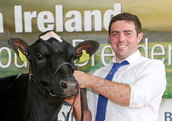 HYB member Andrew Patton from Newtownards will be the guest speaker at Holstein NI's forthcoming AGM.