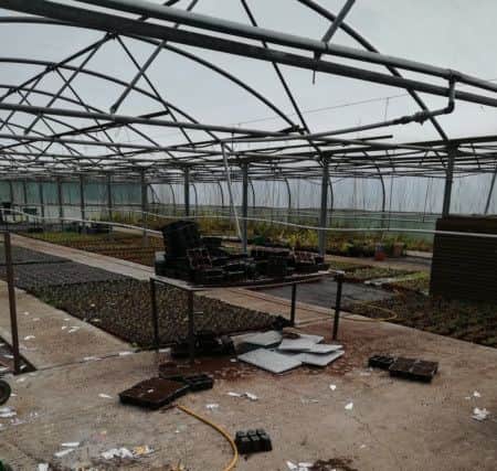 The vandals damaged an irrigation system and 'disturbed' plants and gardening equipment, according to the Southern Health Trust.