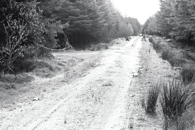 The laneway in Ballypatrick Forest Park close to where the body of the German teenager was found