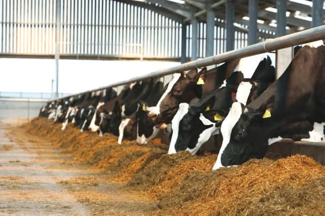 Feeding grass silage treated with Powerstart inoculant reduced calving to conception intervals by 10 days per cow.