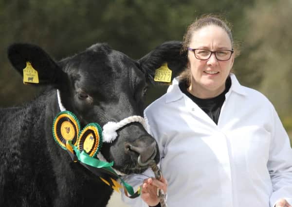 Tina Lindsay is pictured with the Aberdeen Angus female champion bred by Kevin McOscar from Cookstown.