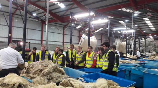 Next Generation wool producers visit Ulster Wool grading depot