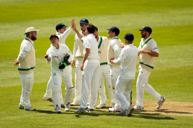 Ireland celebrate the wicket of Mohammed Amir at Malahide on Sunday