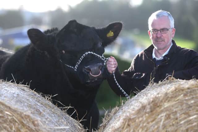 John Henning will be showing cattle at his 25th consecutive Balmoral Show today