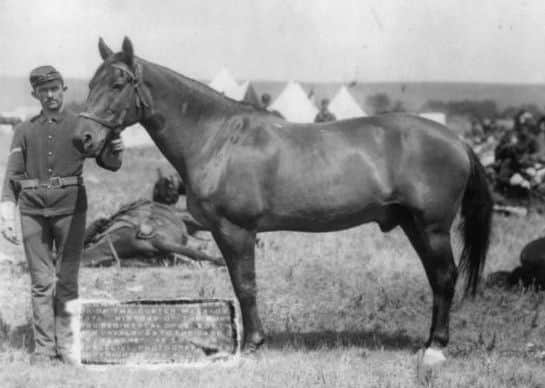 Comanche in 1887