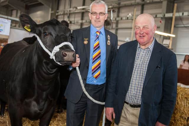 Orange Order Grand Master Edward Stevenson (right) with John Henning, vice-president of RUAS, and one of his Angus herd