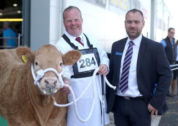 David Connolly with the Reserve champion commercial Heifer pictured with Conor McNeill from Ulster Bank during Balmoral Show in partnership with Ulster Bank