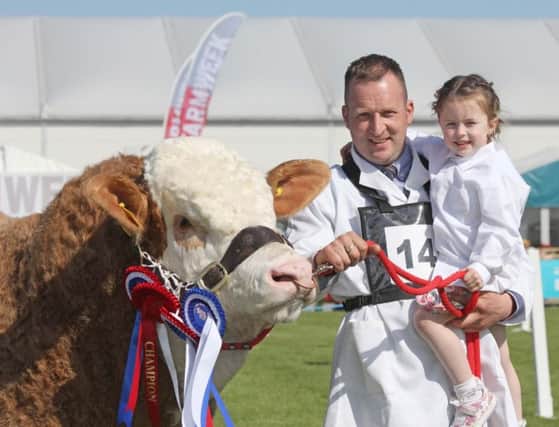 Jonny Hazelton, and four-year-old daughter Sophie, from Dungannon, with their supreme Simmental champion Ranfurly Impeccable ET at the 150th Balmoral Show. Picture: Julie Hazelton