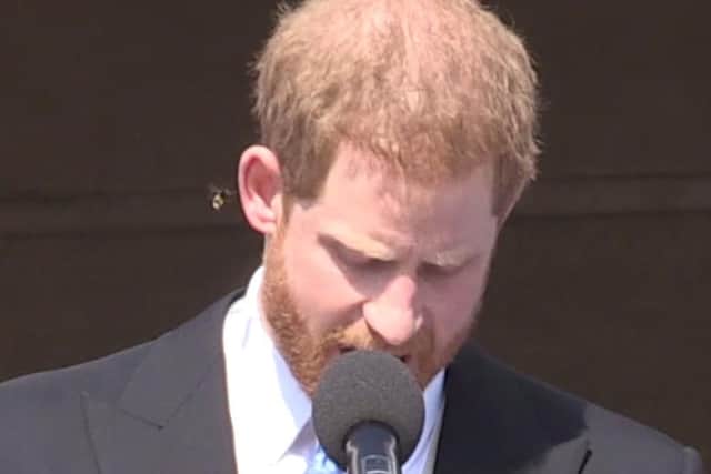 The Duke of Sussex giving a speech at a garden party at Buckingham Palace in London