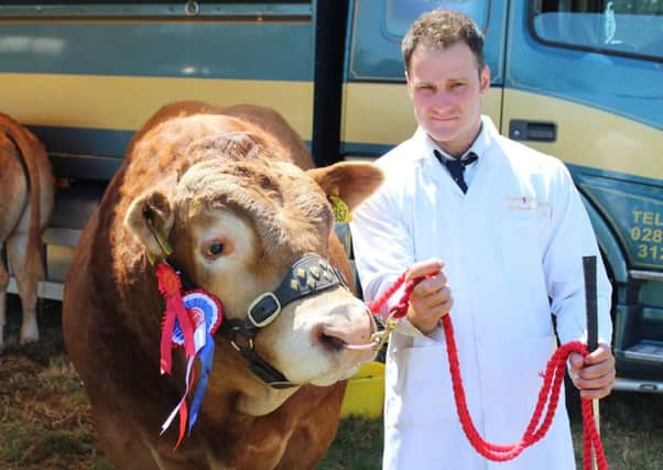 Stephen Crawford with the Limousin Champion at Newry Show