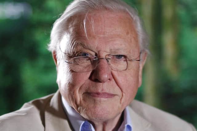 Sir David Attenborough highlighted the problem of plastic waste in the oceans on his Blue Planet series