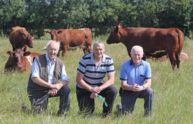 The Randox Antrim Show on Saturday 28th July is the venue for the NI Shorthorn Club's National Championships. Discussing plans for the event are Antrim Agricultural Society's chairman Fred Duncan, and vice chairman Robert Wallace; with Stephen Williamson, herd manager, Cherryvalley Estate, Crumlin.
