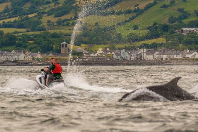 Two people on a jetski get a closer look at the dolphins in Carnlough Bay. Pic by Brian Quinn Photography