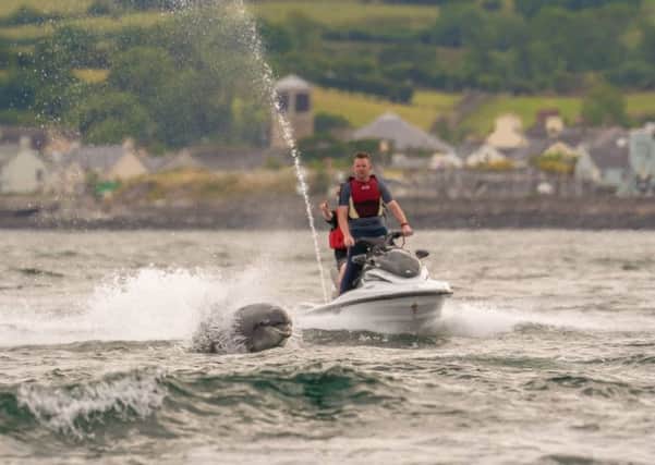 A dolphin plays alongside a jetskier in Carnlough Bay. Pic by Brian Quinn Photography