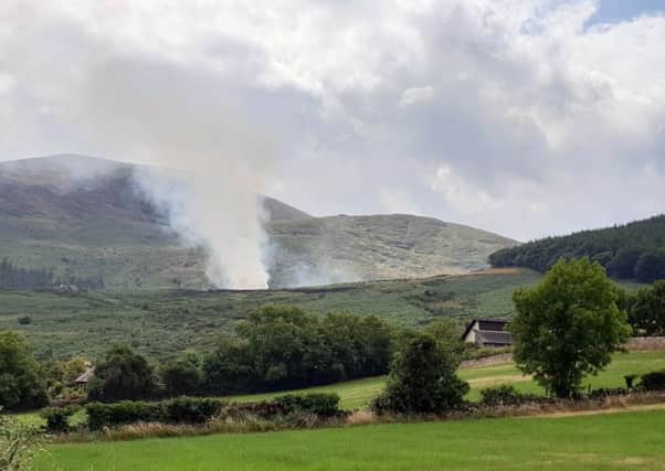 Fire crews are dealing with a gorse fire near  Newcastle Co Down. 
Picture: Philip Magowan  / Press Eye