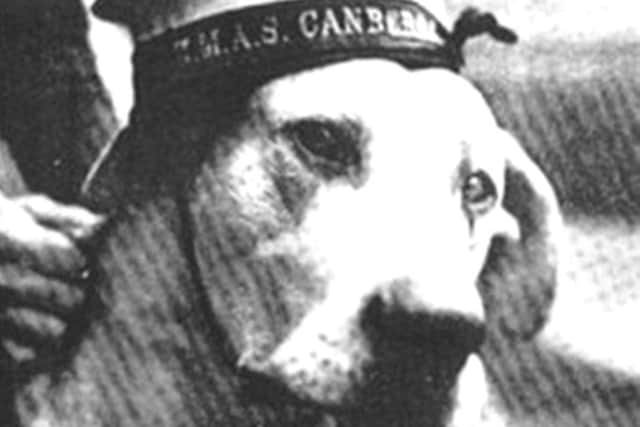 Just Nuisance - The only dog enlisted in the Royal Navy