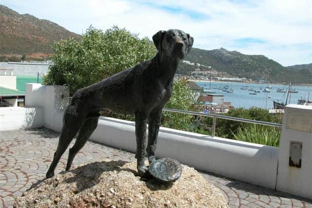 Just Nuisance statue by artist Jean Doyle. Erected in 1985 in Simons Town, Cape Province, South Africa
