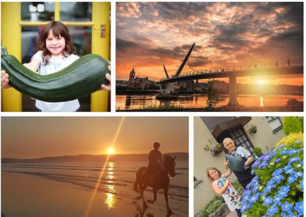 One Summer's Day: click on the images above or link below to launch our gallery of your pictures