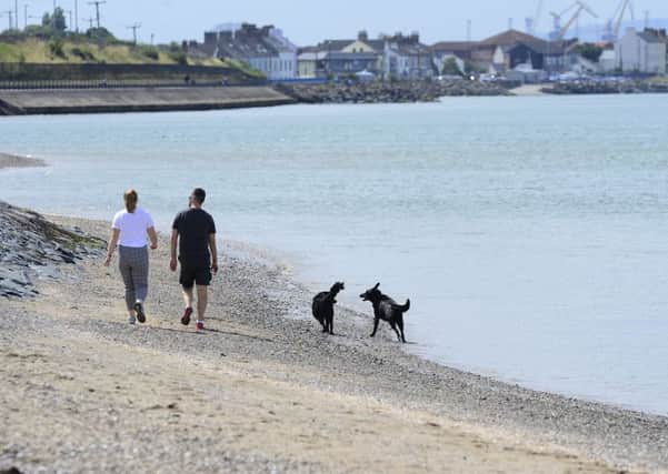 The last of the warm weather.: A couple and their dogs pictured in Holywood beach on Friday, when the temperature reached more than 24 Celsius in Northern Ireland, before the wet and cooler weather was due to begin on Saturday. 
Picture By: Arthur Allison Pacemaker