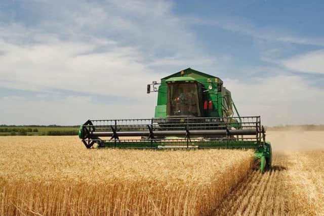 The local harvest is now well underway