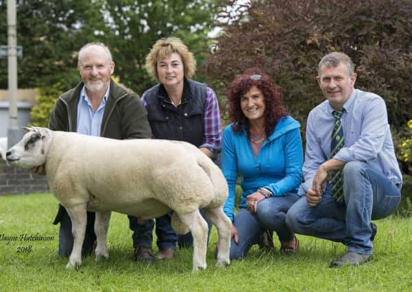 Airolland Castro - New Breed record of 65,000gns, with vedors Neale and Janet McQuistin and buyers Paul & Christine Tippets.
