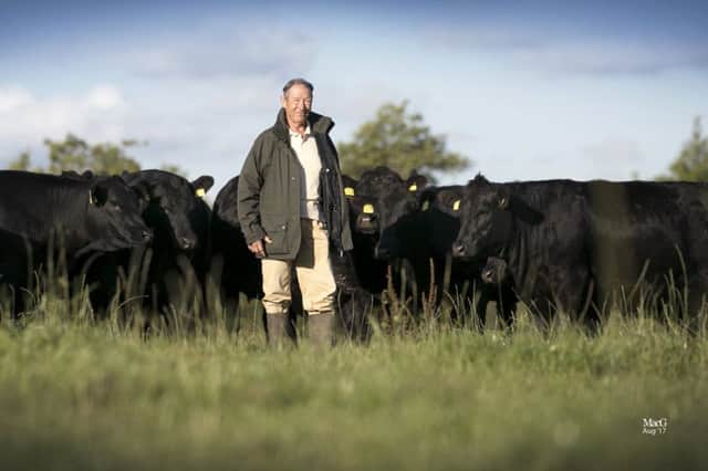 Henry Rowntree with some of his Ribble pedigree Aberdeen-Angus herd.