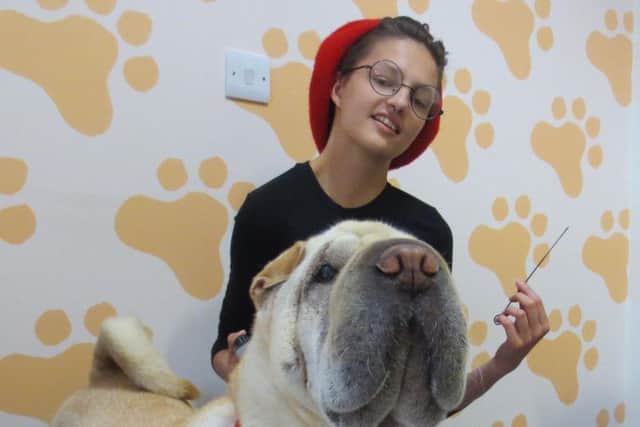 Undated Pets'n'Vets Family handout photo of a Sharpei dog called Hoshi with her owner Sandra Kim. Vets have performed life-saving surgery on the dog which swallowed an eight-inch metal skewer along with a chicken kebab