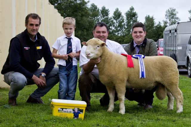 Reserve Champion ram lamb owned by  Thomas Wright with Mark Crawford of Top Flock who sponsored the event.