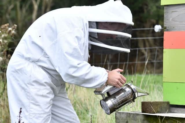 Graeme uses a smoker so that the hive can be safely opened.
 Pic Colm Lenaghan/Pacemaker