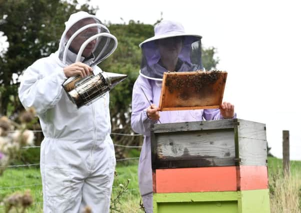 News Letter's Graeme Cousins visits beekeeper Vanessa Drew at her cottage near Dromore.
 Pic Colm Lenaghan/Pacemaker