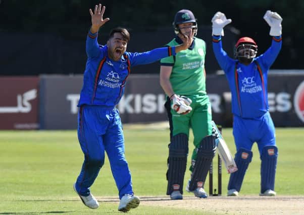Afghanistan's Rashid Khan appeals for lbw against Ireland's Kevin O'Brien.