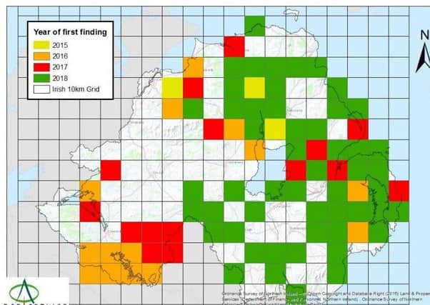 This DAERA map below shows 10km grid squares in which at least one confirmation of ash dieback infection in native ash trees has been made since 2015