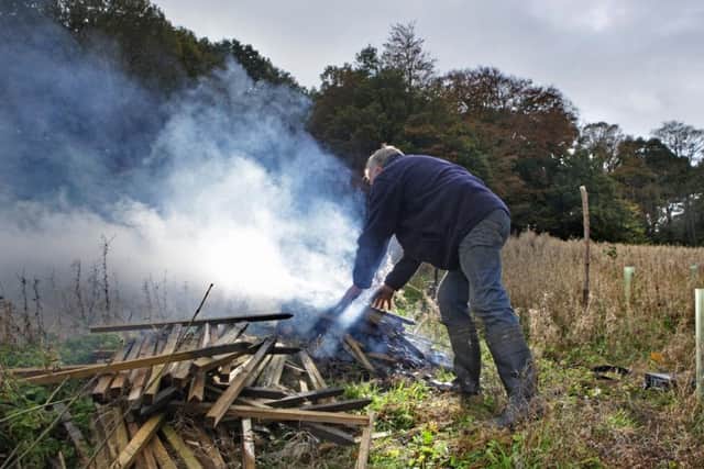 English ash trees being burned in 2012, along with their leaves and even the stakes which held them in the ground, in a bid to contain the spread of the disease