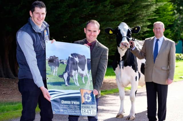Irwins Feed has confirmed its continued sponsorship of the Dungannon Dairy Sale. Outling plans for the show and sale on Thursday 20th September, from left: Barry Marshall, Irwins Feed; Jason Booth, chairman, Holstein NI; and auctioneer Michael Taaffe. Photograph: Columba O'Hare/ Newry.ie