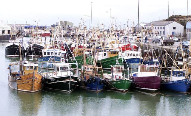 Fishing boats in Kilkeel harbour.