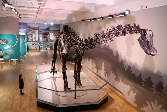 Emily Foote age 7 from Belfast visiting Dippy.


Dippy on Tour opens to the public at the Ulster Museum from Friday, September 28 to January 6. Picture by Press Eye/Darren Kidd
